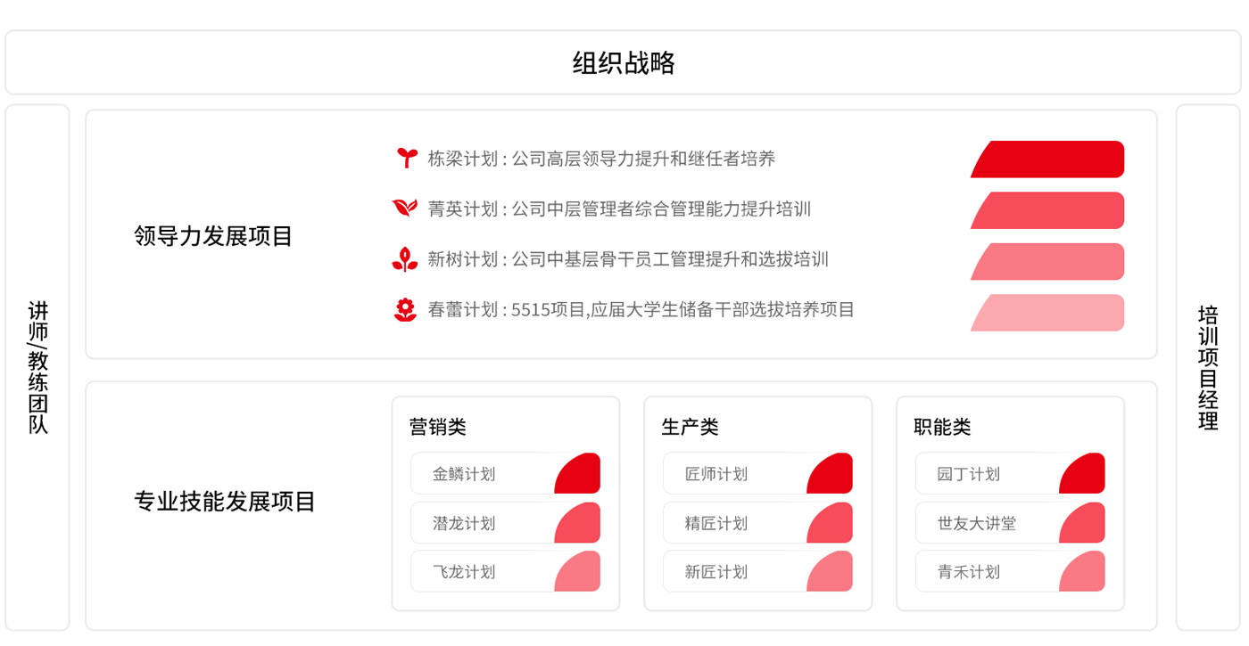 人才培养体系